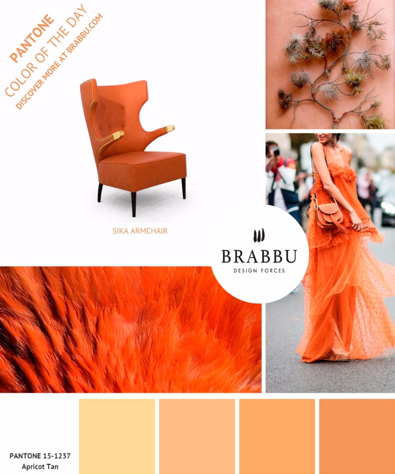 5 Reasons why Interior Design Ideas Are About Pantone Color Trends
